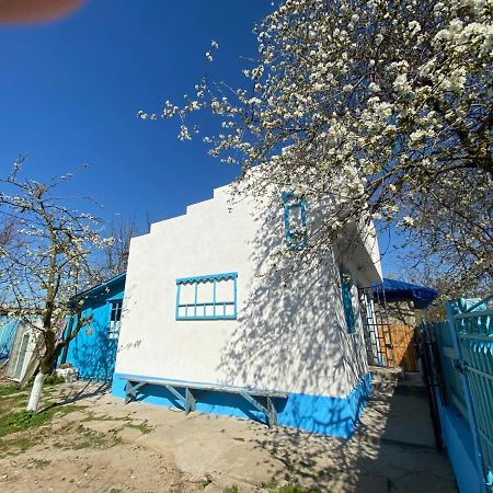 ジュリロヴカ Casa Bunicilor Granny'S Houseヴィラ エクステリア 写真