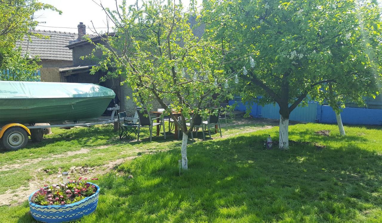 ジュリロヴカ Casa Bunicilor Granny'S Houseヴィラ エクステリア 写真