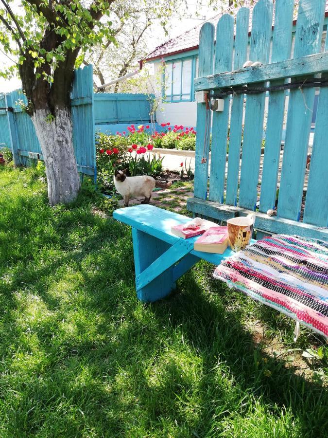 ジュリロヴカ Casa Bunicilor Granny'S Houseヴィラ エクステリア 写真