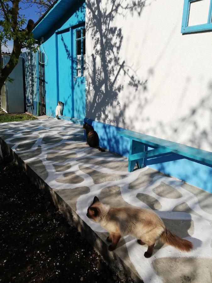 ジュリロヴカ Casa Bunicilor Granny'S Houseヴィラ エクステリア 写真