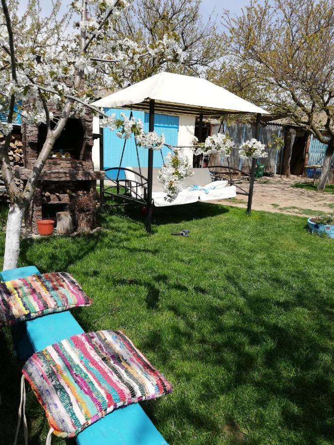 ジュリロヴカ Casa Bunicilor Granny'S Houseヴィラ エクステリア 写真