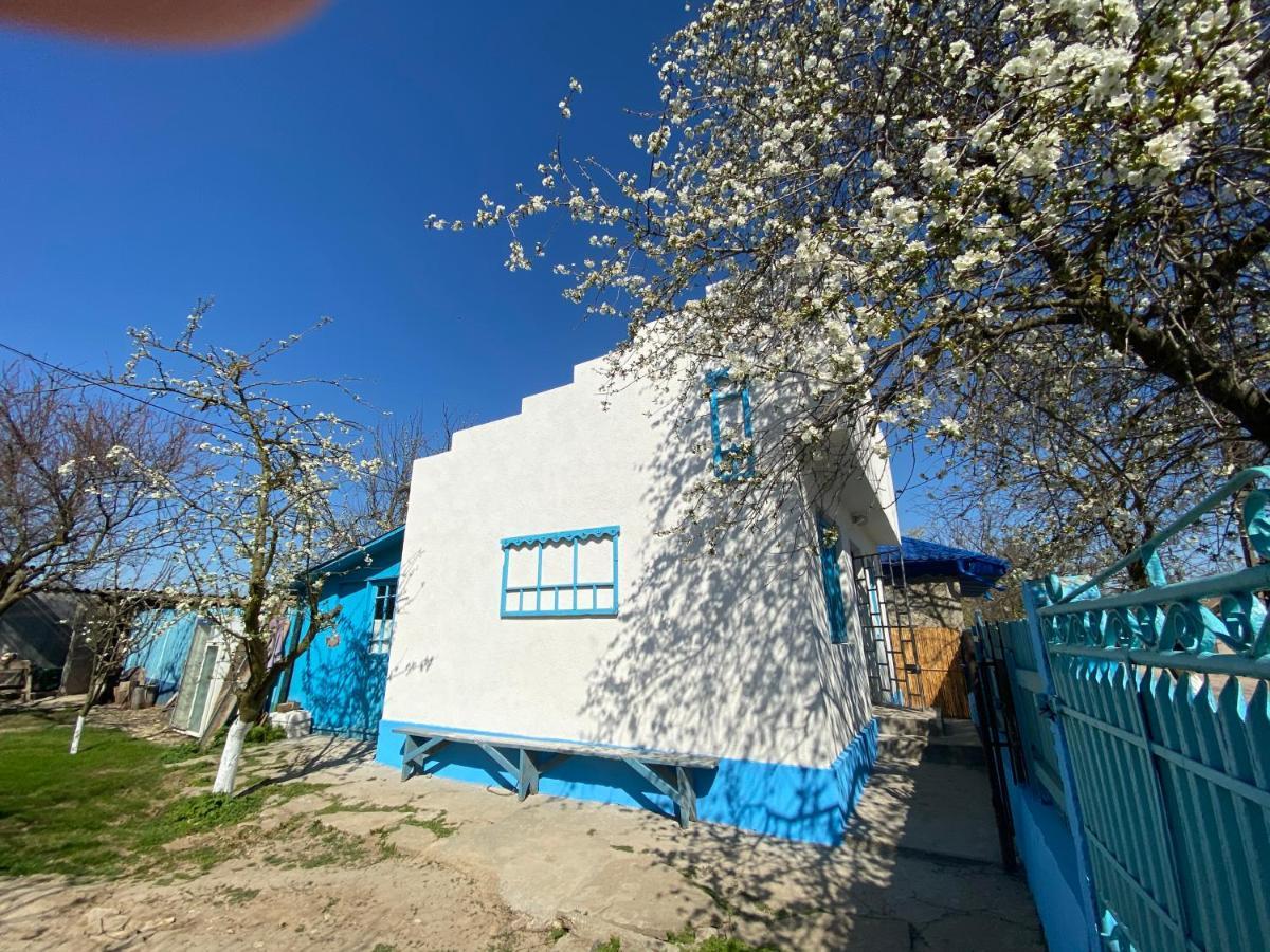 ジュリロヴカ Casa Bunicilor Granny'S Houseヴィラ エクステリア 写真