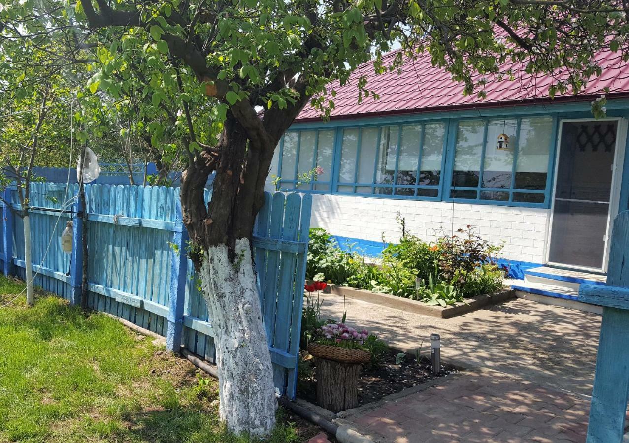ジュリロヴカ Casa Bunicilor Granny'S Houseヴィラ エクステリア 写真