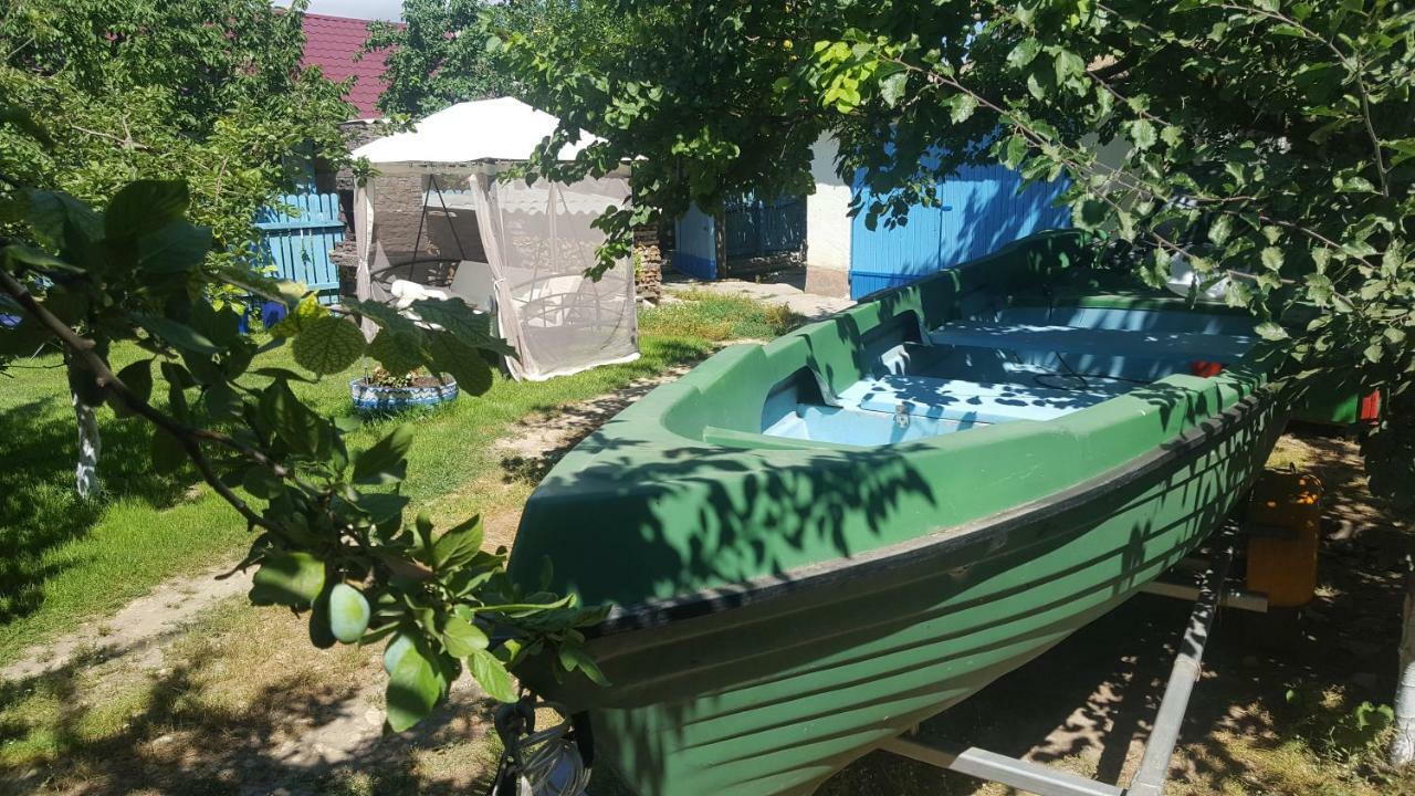ジュリロヴカ Casa Bunicilor Granny'S Houseヴィラ エクステリア 写真